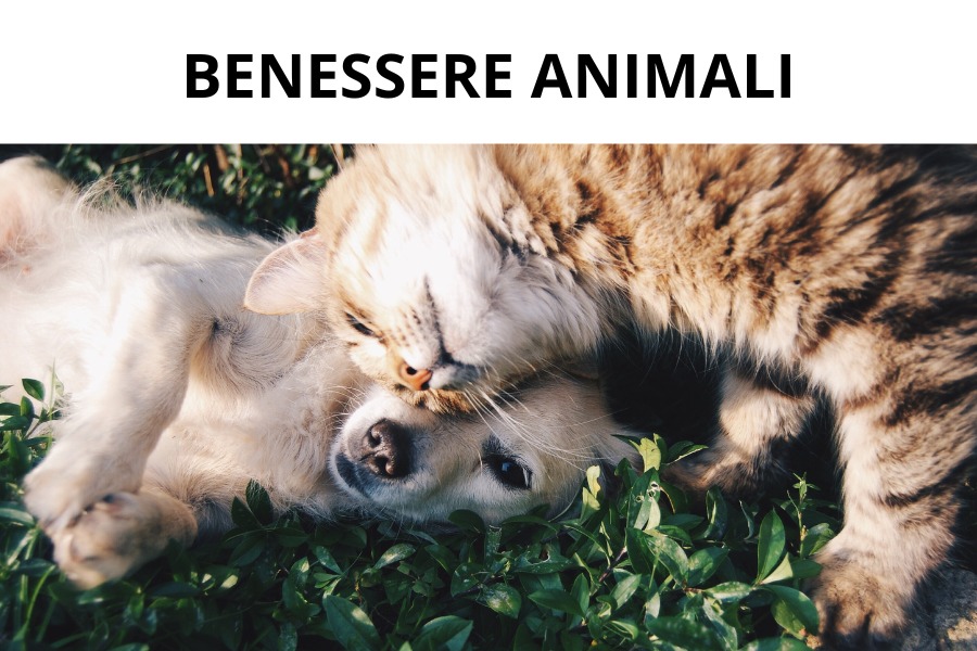 corsi benessere animali
